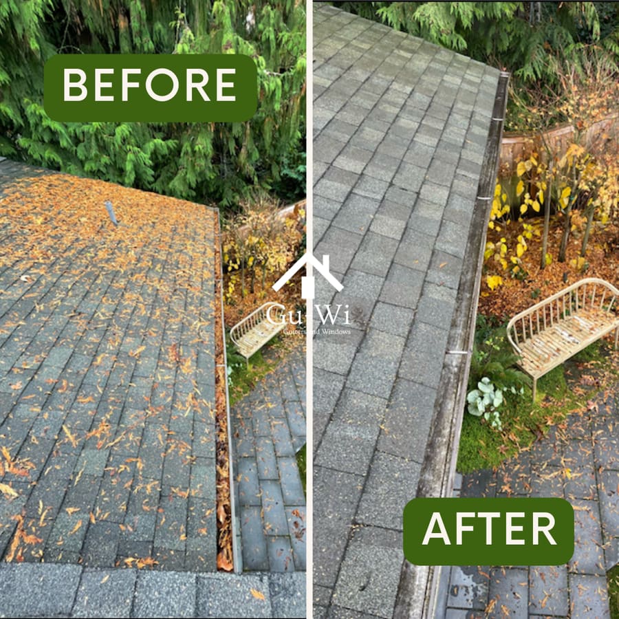 Roof and gutter line buried in autumn leaves, then swept clear