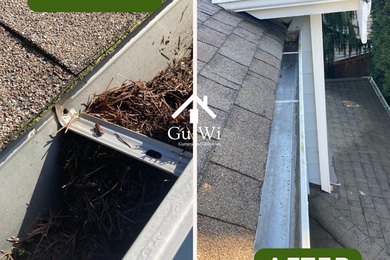 Gutter Cleaning